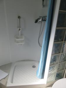 a shower with a blue shower curtain in a bathroom at Auberge a la Ferme in Surques