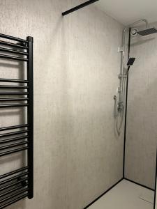 a shower stall in a bathroom with a shower at Casa Blanca in Schwanau +74 photos