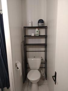 ein kleines Bad mit einem weißen WC in einem Zimmer in der Unterkunft Le repos beaurepairien in Beaurepaire