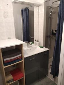 ein Badezimmer mit Waschbecken und Dusche in der Unterkunft Le repos beaurepairien in Beaurepaire