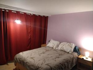 ein Schlafzimmer mit einem Bett mit einem roten Vorhang in der Unterkunft Le repos beaurepairien in Beaurepaire