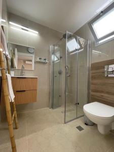 un bagno con doccia in vetro e WC di Ramon Palms a Mitzpe Ramon Altre 22 foto