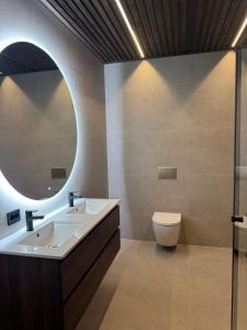 een badkamer met een wastafel en een spiegel en een toilet bij LyNora Lodge 