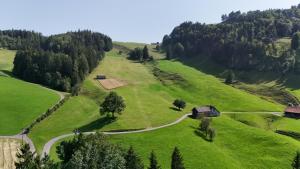 una vista aerea di una collina verdeggiante con una casa di Bräkerhaus Toggenburg a Lichtensteig