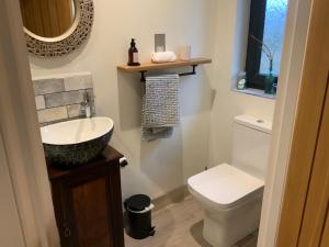 een badkamer met een wastafel en een toilet bij Carrick Chalets -2 in Carrick