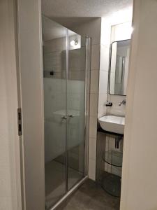 a glass shower in a bathroom with a sink at Ferienwohnung Zur Alt Ave in Deggingen +9 photos