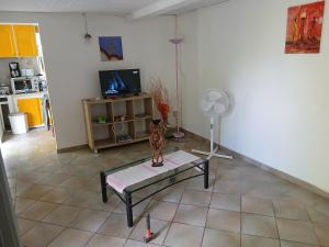 TV a/nebo společenská místnost v ubytování Le Jardin de Massieux