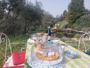a picnic table with a tray of donuts on it at L'Aquila e L'Ulivo in Montepulciano
