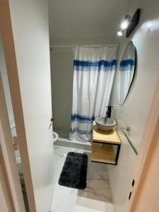 une salle de bain avec lavabo et douche dans l'établissement Monoambiente en el corazón de barrio sur, à San Miguel de Tucumán