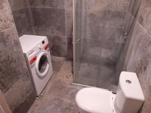 un bagno con WC e lavatrice di Harika bir yer a Oludeniz