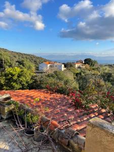 Naturlandskabet i nærheden af den private indkvartering + 2 billeder