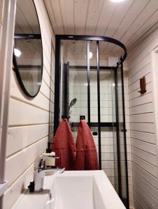 een badkamer met een wastafel en een spiegel bij The Little Owls Nest in Rovaniemi