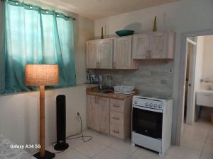 Η κουζίνα ή μικρή κουζίνα στο Modern studio apartment near beach