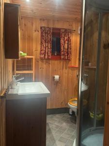 Koupelna v ubytování Traditional Log Cabin - Infrared Sauna + 28 fotografií