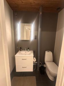 a bathroom with a white sink and a toilet at Apartment Alakorkalo in Rovaniemi