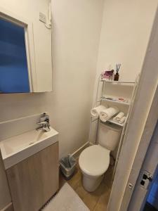 Galeriebild der Unterkunft Studio flat in Seven Sisters - ideal for couple in London