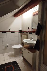 een badkamer met een wastafel, een toilet en een spiegel bij Altstadt Appartement Luka in Roding +6 foto's
