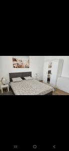 een slaapkamer met een bed en twee schilderijen aan de muur bij Villa Punta in Privlaka