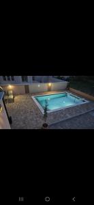 een zwembad met een potplant ernaast bij Villa Punta in Privlaka