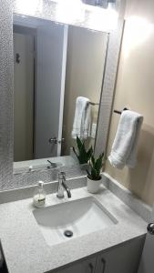 Et badeværelse på Cozy Ground-Floor Room with Private Bath and Separate Entry