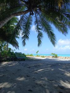 Naturlandskabet i nærheden af pensionatet