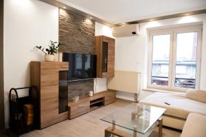 Una sala de estar con un sofá y un televisor. en Apartment with Private Garden, en Liptovský Mikuláš