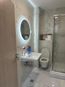 een badkamer met een wastafel, een toilet en een spiegel bij Apartman 2937 in Podgorica +14 foto's