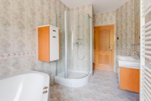 a bathroom with a shower and a toilet and a sink at Vila Adalbert in Liberec +17 photos