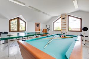 a pool room with two ping pong tables at Vila Adalbert in Liberec