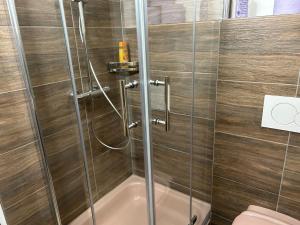 eine Dusche im Bad mit WC in der Unterkunft Sonilife Ferienwohnung Obervellach zentral & naturnah in Obervellach + 9 Fotos