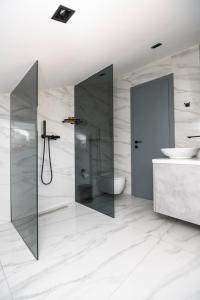 ein Badezimmer mit Dusche, Toilette und Waschbecken in der Unterkunft Crystal Apartments Old Town Sarajevo in Sarajevo