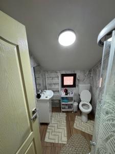 bagno con servizi igienici, lavandino e TV di Casa Diana a Huedin Altre 16 foto