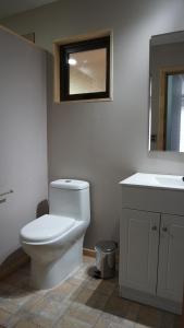 a bathroom with a white toilet and a sink at Lodge Perry Barnes in Puerto Varas +5 photos