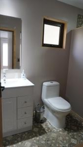 a bathroom with a toilet and a sink and a window at Lodge Perry Barnes in Puerto Varas +5 photos