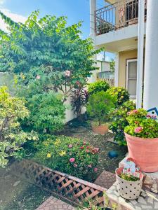a garden with flowers and plants in front of a building at City Garden 2 Apartment in Belize City