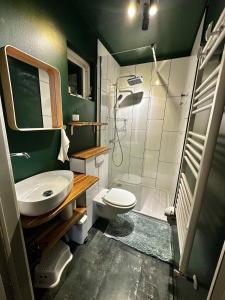 une salle de bains avec lavabo, toilettes et douche dans l'établissement Travelers Studio, à Njarðvík