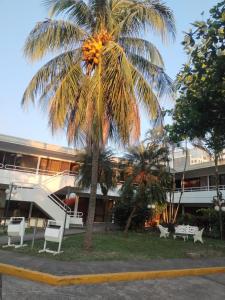 Zahrada ubytování Hotel ASTURIAS BOUTIQUE