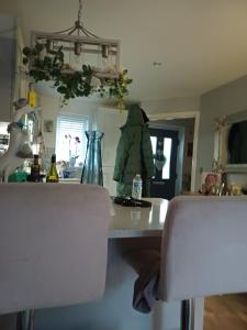 a kitchen with a table with a green gorilla on it at The haven in Birkenhead +13 photos