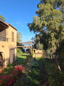 a garden with a house and a tree and flowers at Résidence Palmarella in Galeria