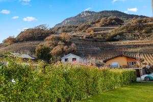 Blick auf einen Weinberg mit einem Berg im Hintergrund in der Unterkunft Saillon, maison 5 pers - Terrasse - Parking privé in Saillon