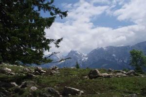 Naturlandskabet i nærheden af feriehuset