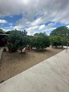 Billede fra billedgalleriet på Lo de Nancy i La Paloma