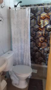 a bathroom with a toilet and a shower curtain at Cabaña Las Abuelas in Xuí