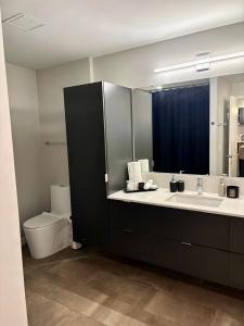 a bathroom with a sink and a toilet and a mirror at SuCasa in Arlington