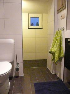 a bathroom with a toilet and a shower with a window at Holliday Home La Douane in Gedinne