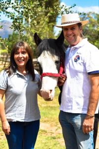 Zvířata v farmy nebo okolí