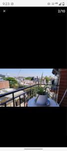 une plante en pot assise sur une table sur un balcon dans l'établissement Departamento centrico, à Termas de Río Hondo