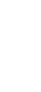 帕索德洛斯利布雷斯Brisa de Corrientes的白色背景上的黄色钻石图案