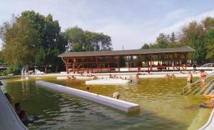 a group of people swimming in a pond in a park at Bázis Vendégház Hajdúnánás in Hajdúnánás
