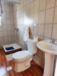 ein Badezimmer mit Toilette und Waschbecken in der Unterkunft Apartamentos Chalo in Dalcahue